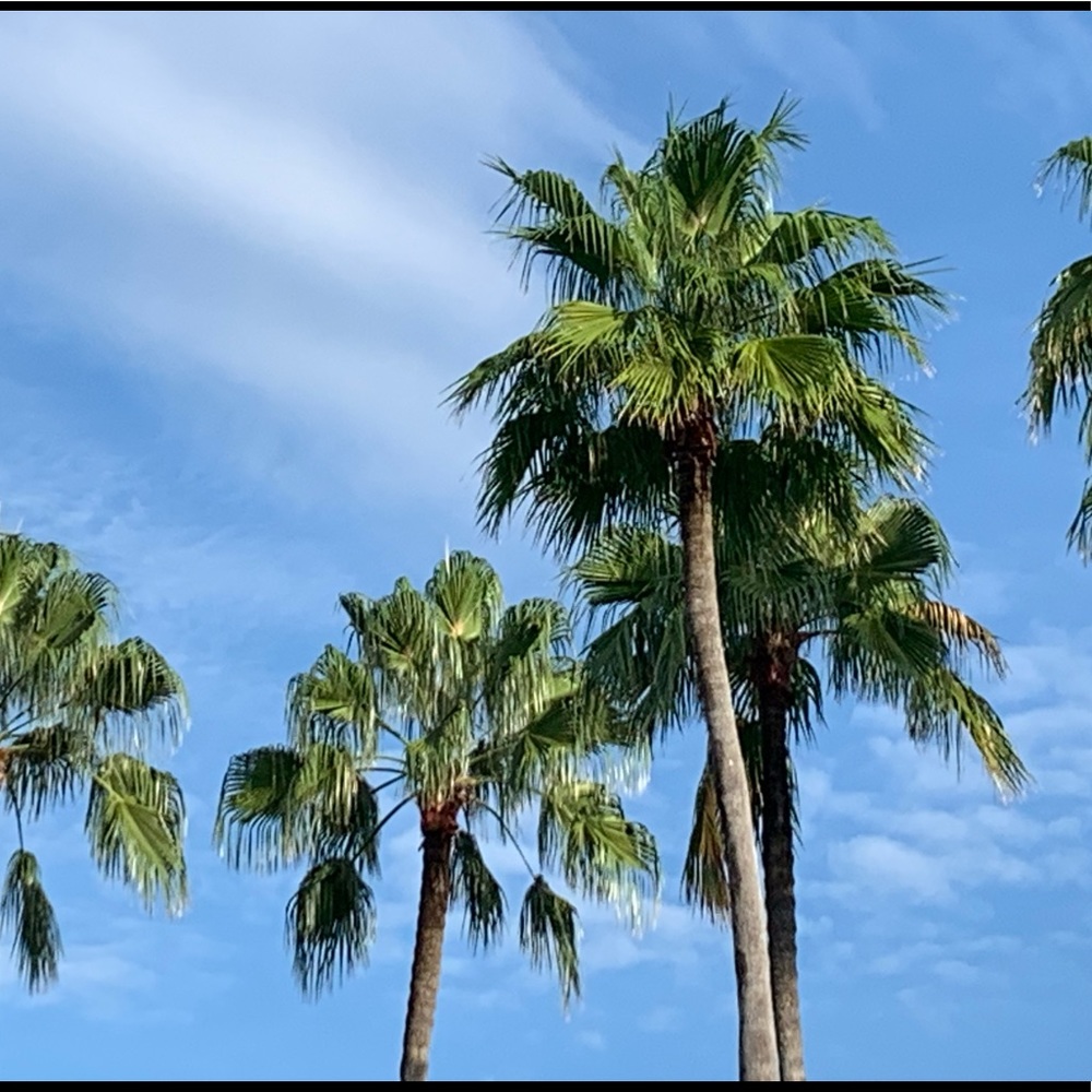 Meet your Posher, Cristal